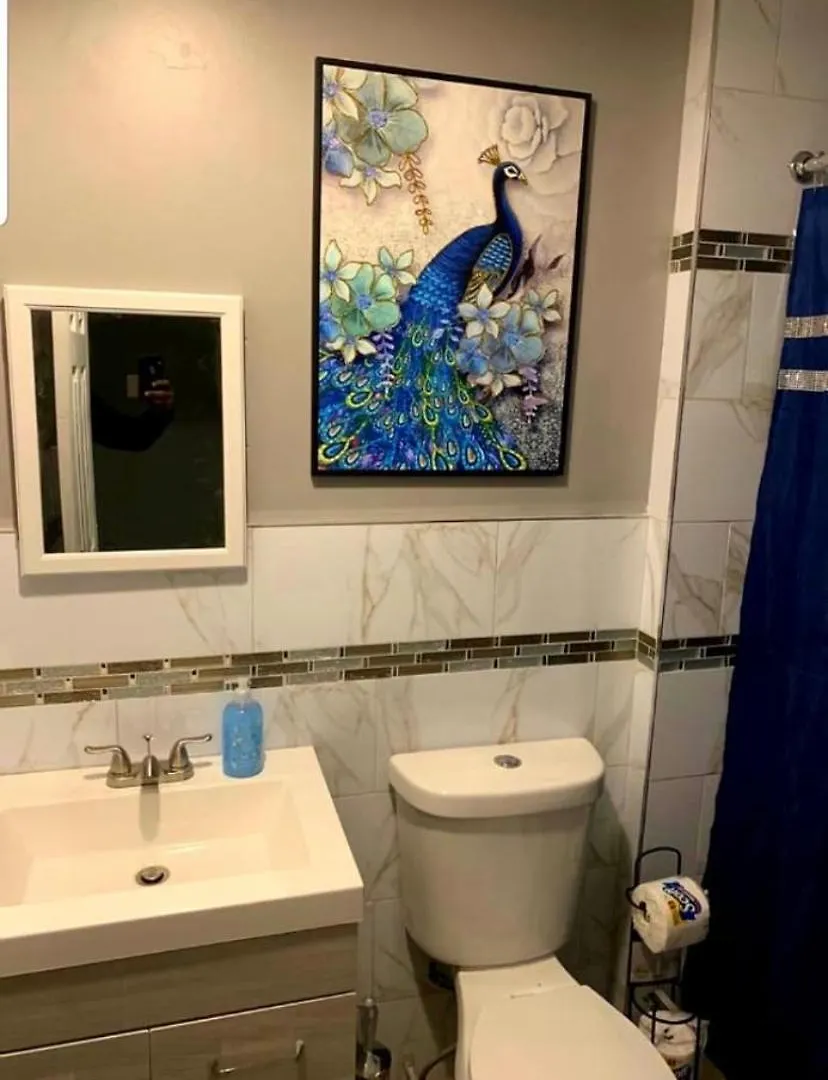 纽约Latisha House公寓 0*, 纽约 美国